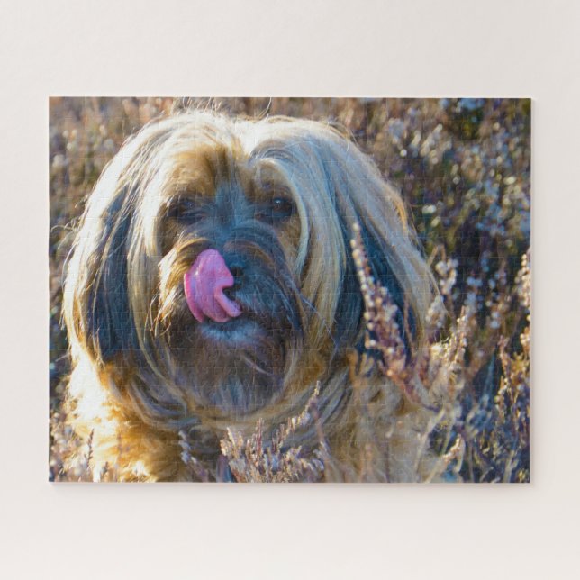 Tibetan Terrier Dog Jigsaws. Jigsaw Puzzle (Horizontal)