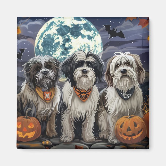 Tibetan Terrier Halloween Spooky Magnet (Front)