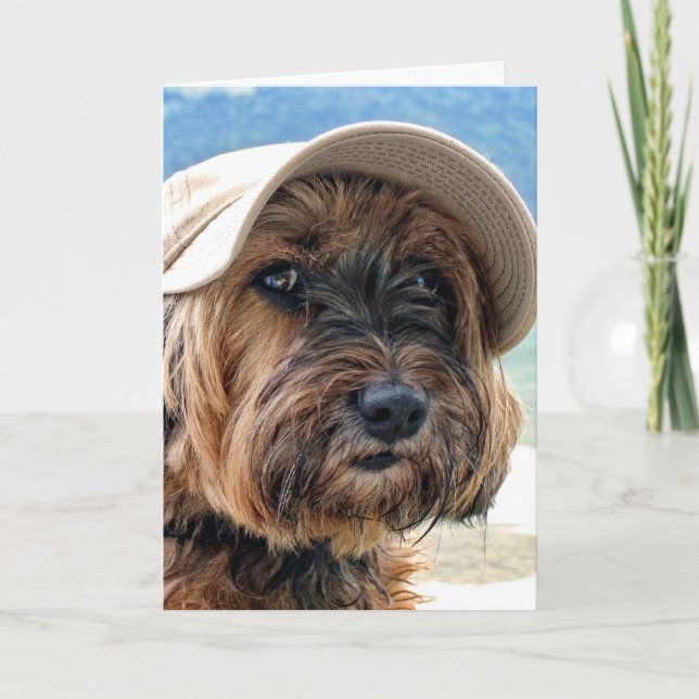 Tibetan Terrier Leisure Portrait Card (Front)
