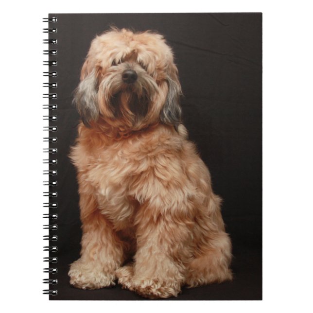 Tibetan Terrier Notebook (Front)