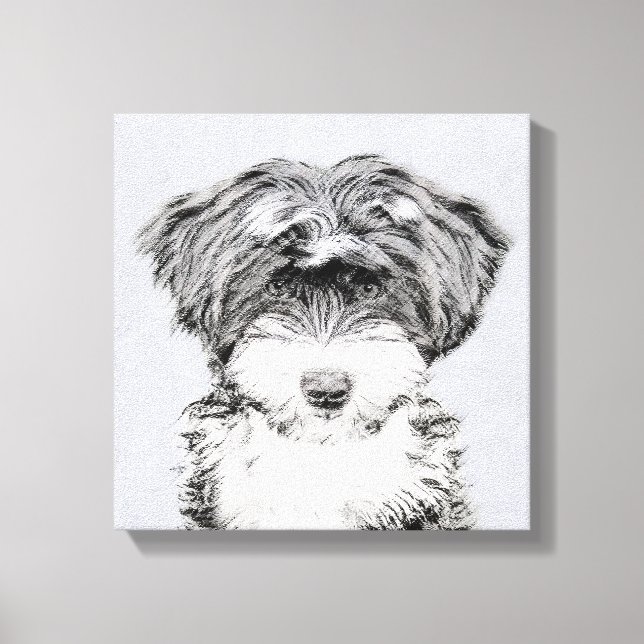 Tibetan Terrier Painting - Cute Original Dog Art Canvas Print (Front)