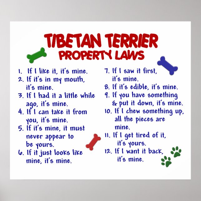 TIBETAN TERRIER PL2 POSTER (Front)