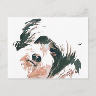 Tibetan Terrier portrait Postcard
