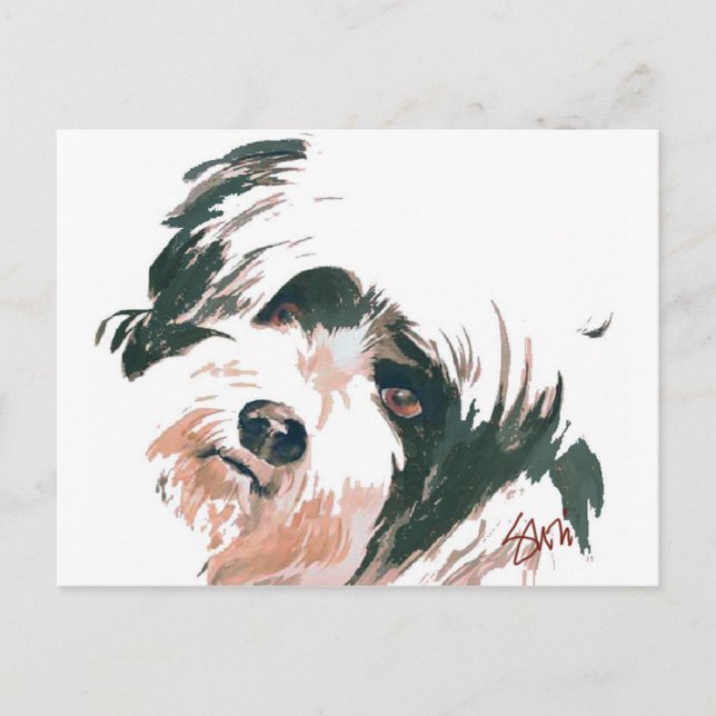 Tibetan Terrier portrait Postcard (Front)