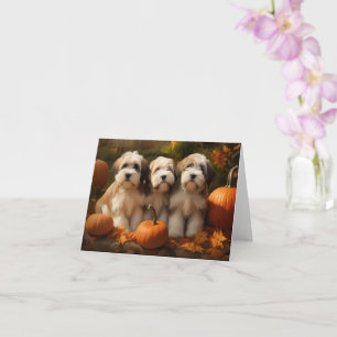 Tibetan Terrier Puppy Autumn Delight Pumpkin Card