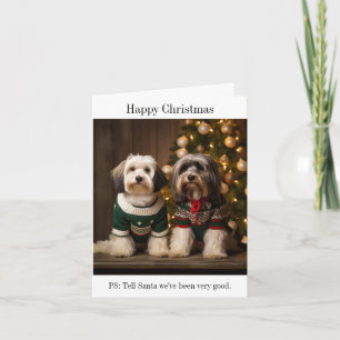 Tibetan Terriers  Christmas Card