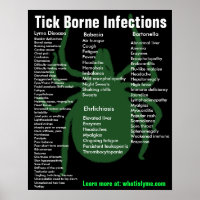 Tick Borne Infections Symptoms Educational Poster