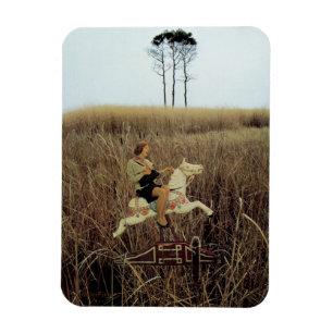 Ticket to ride - magnet