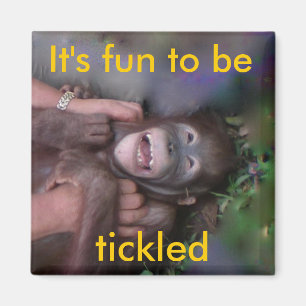 Tickle Me magnet