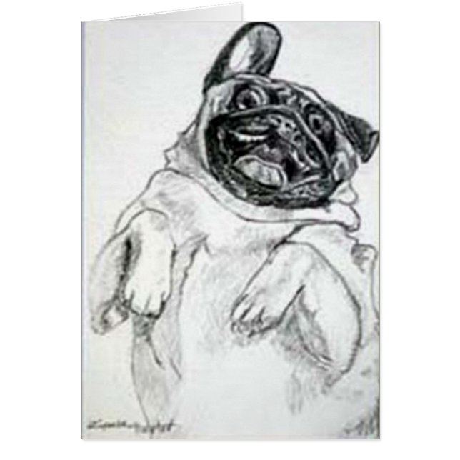 Tickle My Tummy, Please (Front)