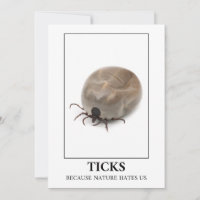 Ticks Because Nature Hates Us – Parasite Fun