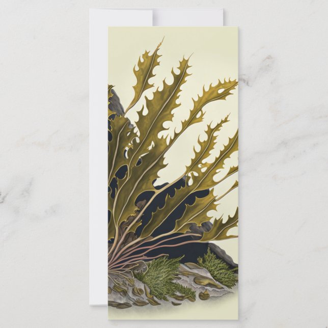 Tidal Fronds (Front)