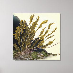Tidal Fronds Canvas Print