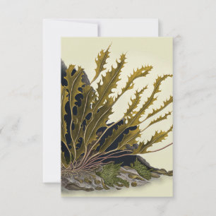 Tidal Fronds Card