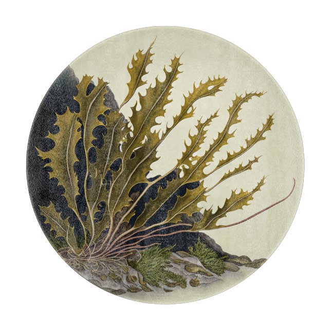 Tidal Fronds Cutting Board (Front)
