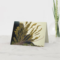 Tidal Fronds