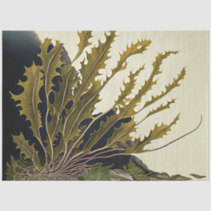 Tidal Fronds Tissue Paper