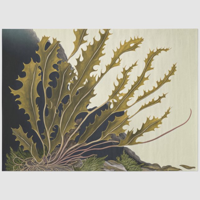 Tidal Fronds Tissue Paper (Front)