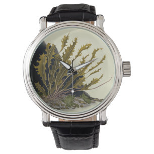 Tidal Fronds Watch