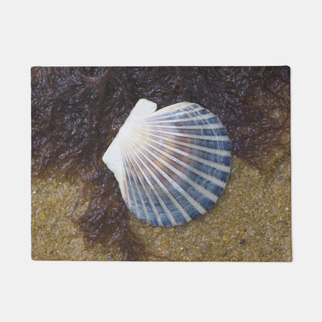 Tidal Pool Doormat (Front)