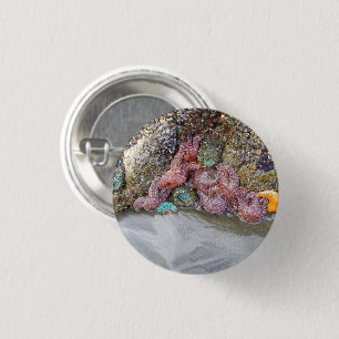 Tidal Pool, Ruby Beach, Olympic National Park 3 Cm Round Badge