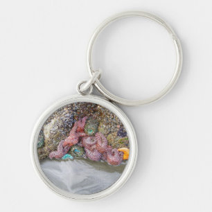 Tidal Pool, Ruby Beach, Olympic National Park Key Ring