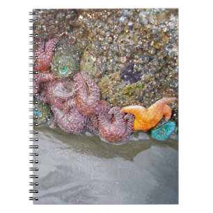 Tidal Pool, Ruby Beach, Olympic National Park Spiral Notebook