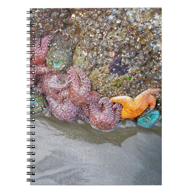 Tidal Pool, Ruby Beach, Olympic National Park Spiral Notebook (Front)