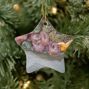 Tidal Pool, Ruby Beach, Sunset over Lake Crescent Ceramic Tree Decoration