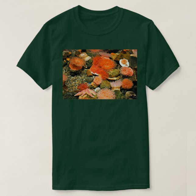 Tidal Pool T-Shirt (Design Front)