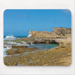 Tidal Pools and Rock Ledges of Punta Las Tunas Mouse Pad