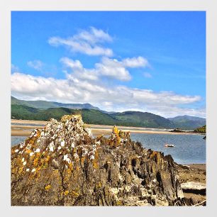 TIDAL RIVER
