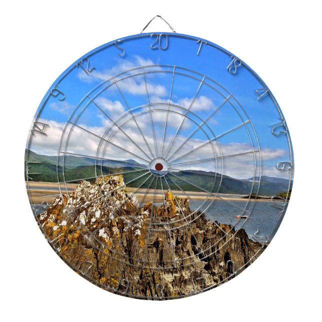 TIDAL RIVER DARTBOARD (Front)