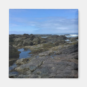 Tide Pools at Bob Creek, OR Magnet