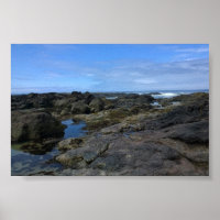 Tide Pools at Bob Creek, OR