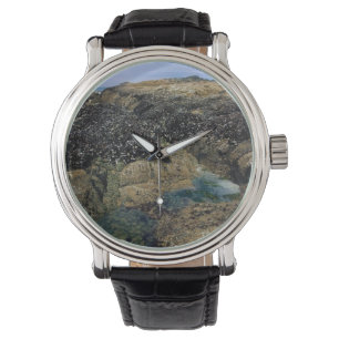 Tide Pools at Bob Creek, OR Watch