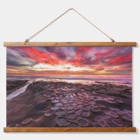 Tide Pools in La Jolla, CA
