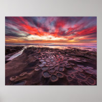 Tide Pools in La Jolla, CA