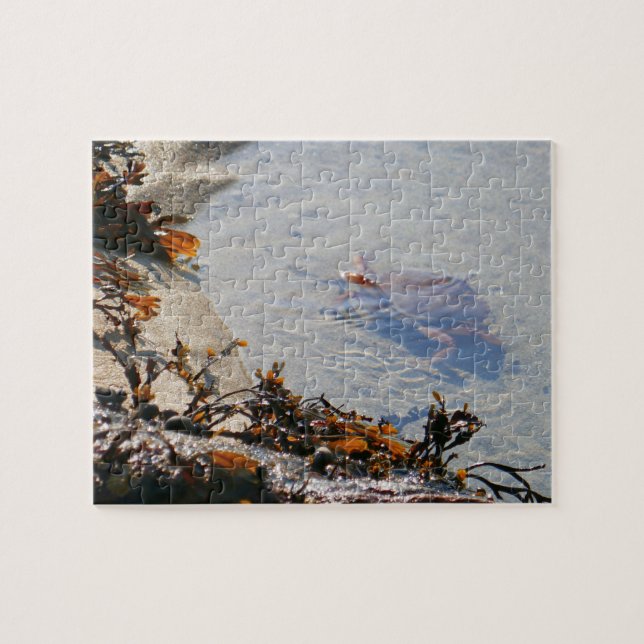 Tidepool at Sand Beach Jigsaw Puzzle (Horizontal)