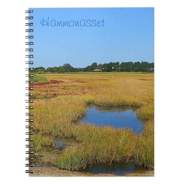 Tidepool Marsh Notebook (Front)