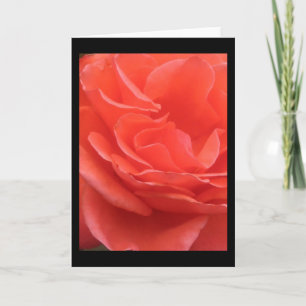 Tides of Peach Rose Flower Photo Greeting Card