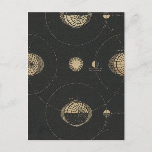 Tides Postcard (Front)