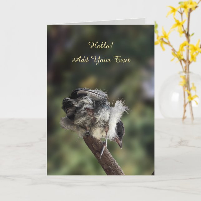 Tidi my Bird the Parus Major Card (Yellow Flower)