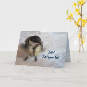Tidi my Bird the Parus Major Card