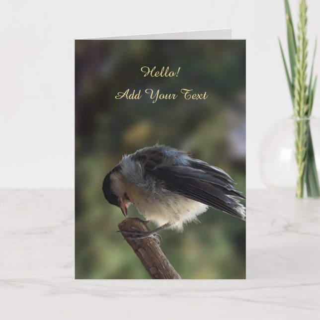 Tidi my Bird the Parus Major Card (Front)