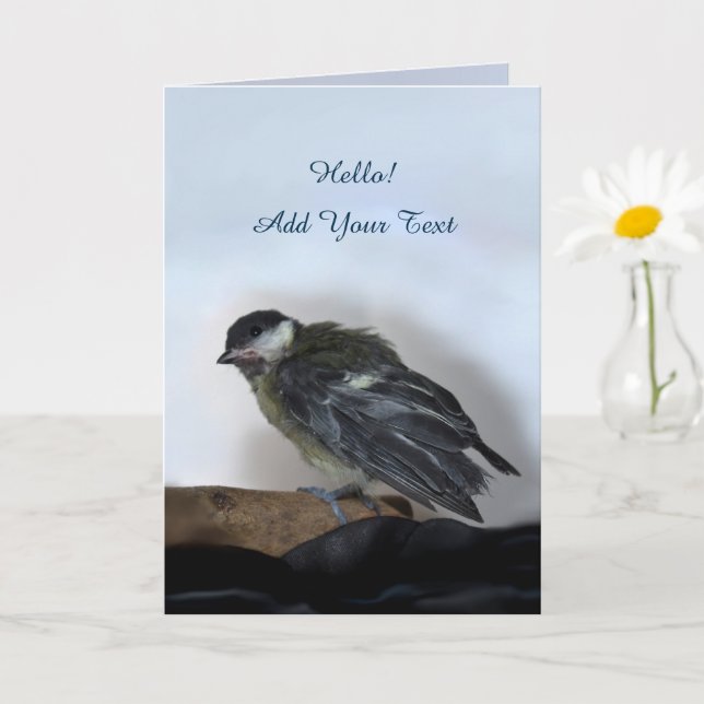 Tidi my Bird the Parus Major Card (Small Plant)