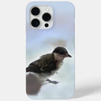 Tidi my Bird the Parus Major
