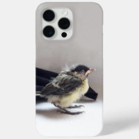 Tidi my Bird the Parus Major
