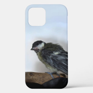 Tidi my Bird the Parus Major iPhone 12 Case