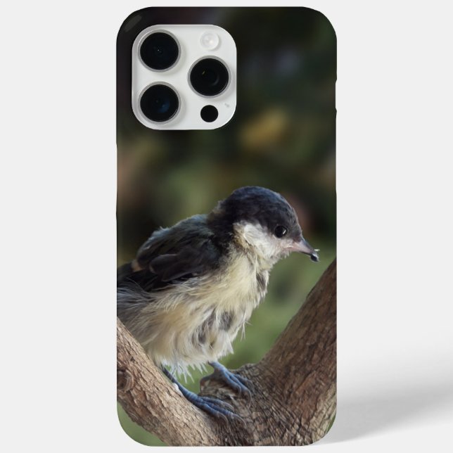Tidi my Bird the Parus Major Case-Mate iPhone Case (Back)